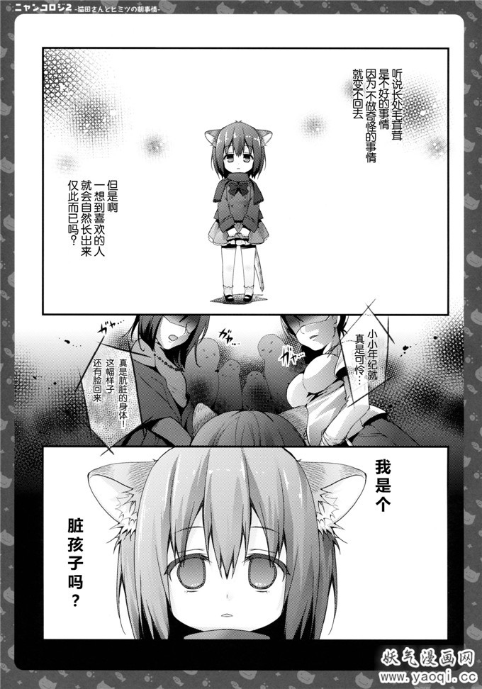 少女漫画之猫田尼亚本子:Nyancology 2 Nekota-san to Himitsu no Asa