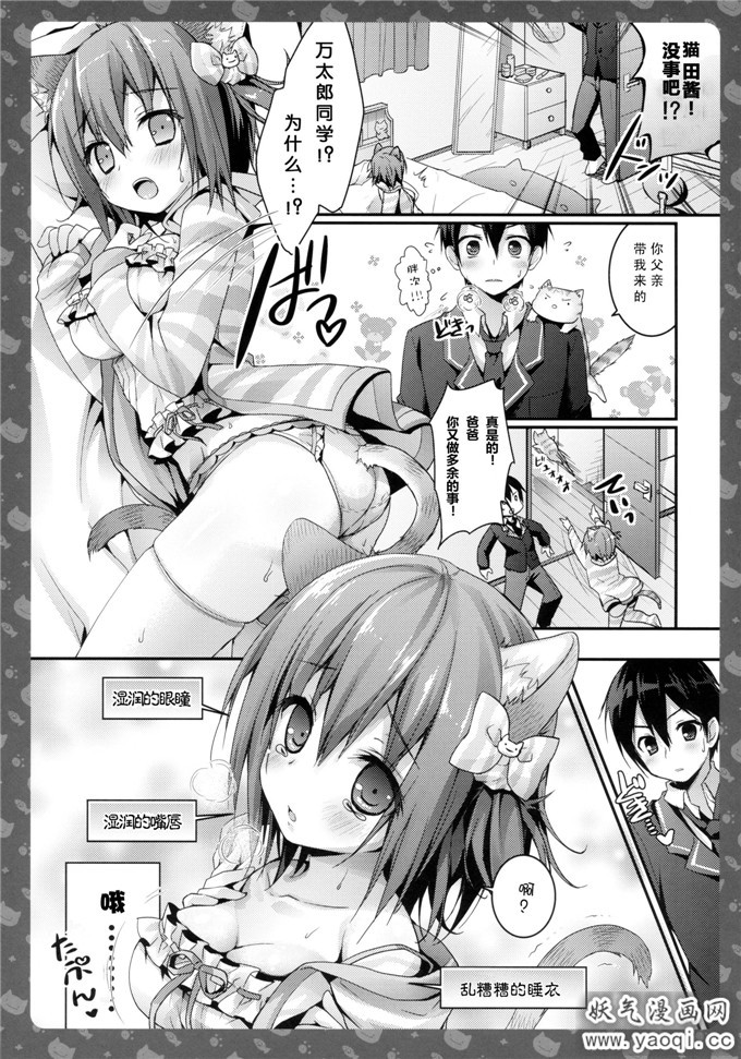 少女漫画之猫田尼亚本子:Nyancology 2 Nekota-san to Himitsu no Asa