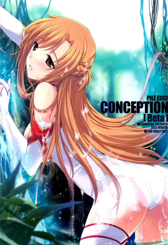 动漫本子之刀剑神域亚斯娜调教本子(C83)PILEDGE CONCEPTION [Beta]